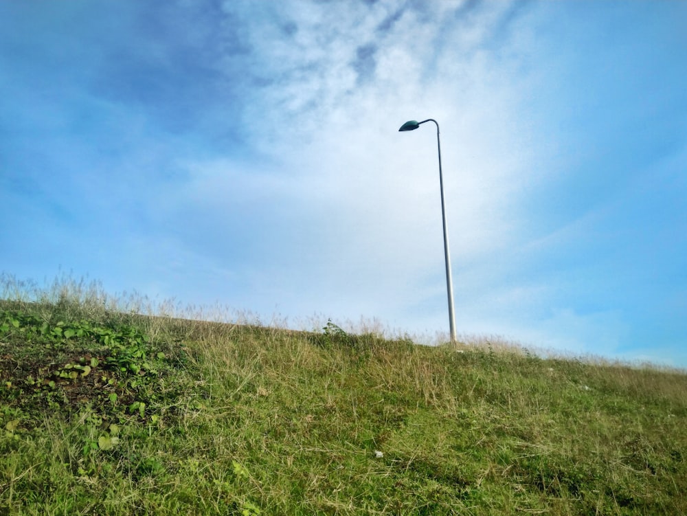 green grass field under blue sky during daytime