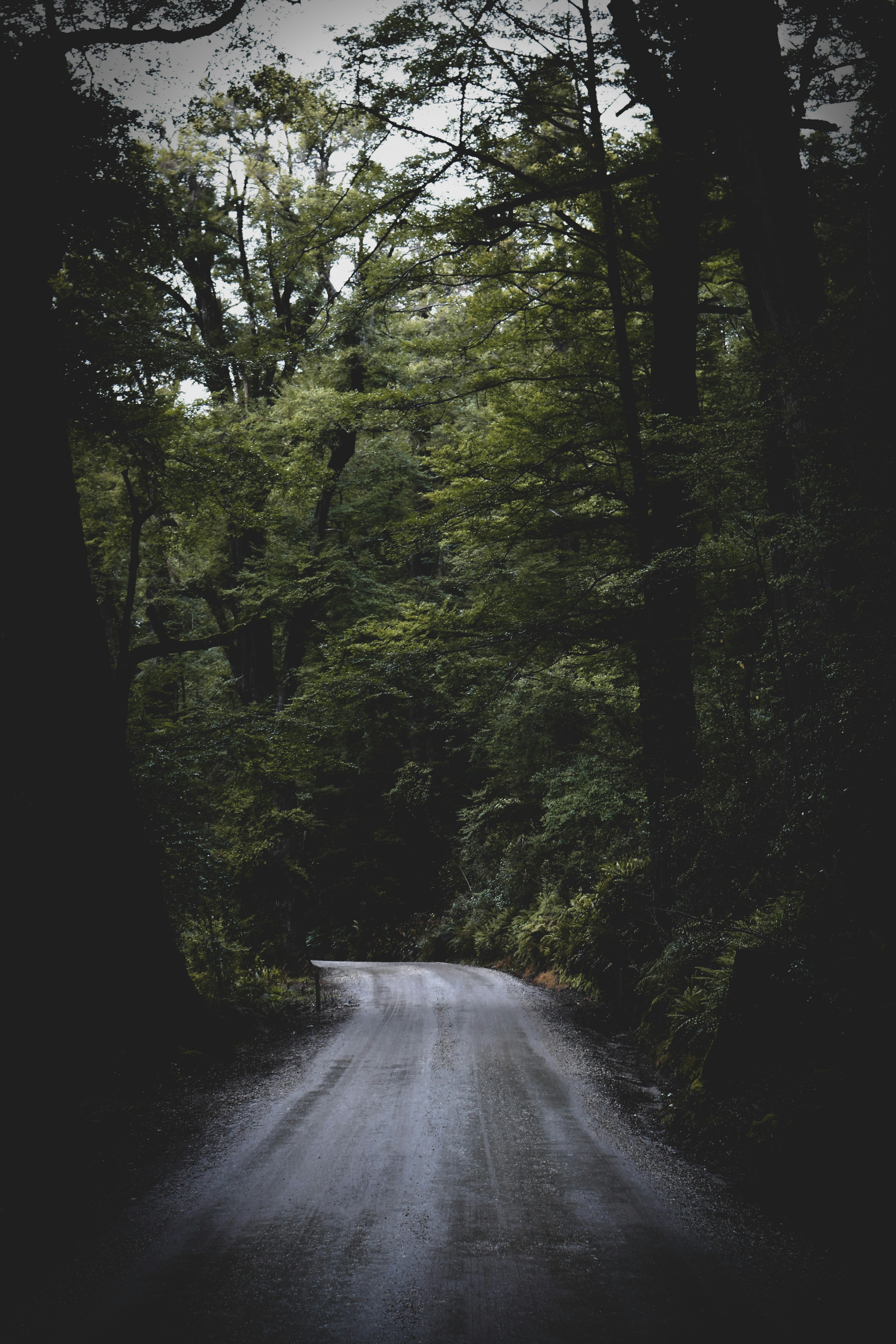 Photo by rubyholling