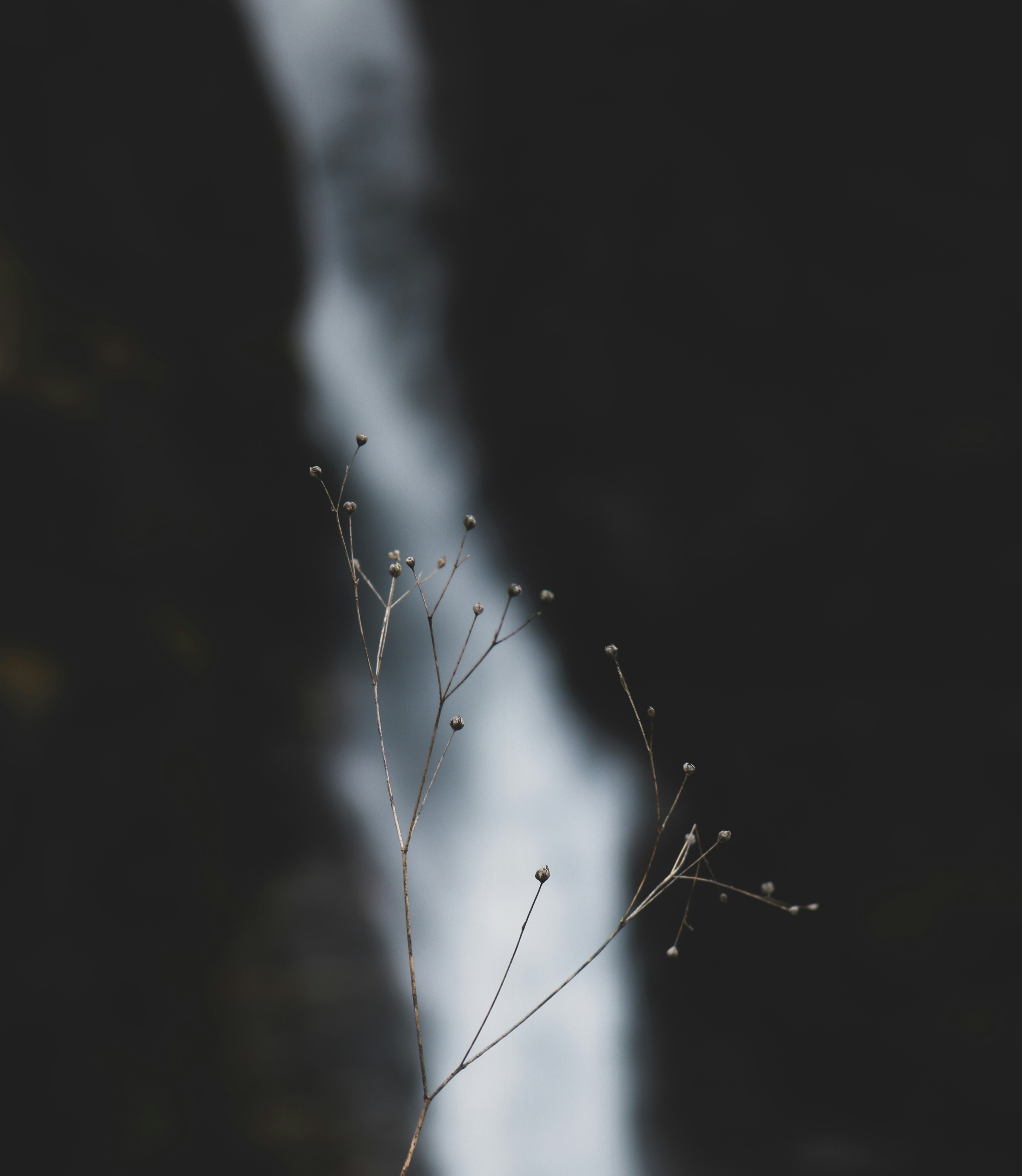 Photo by rubyholling