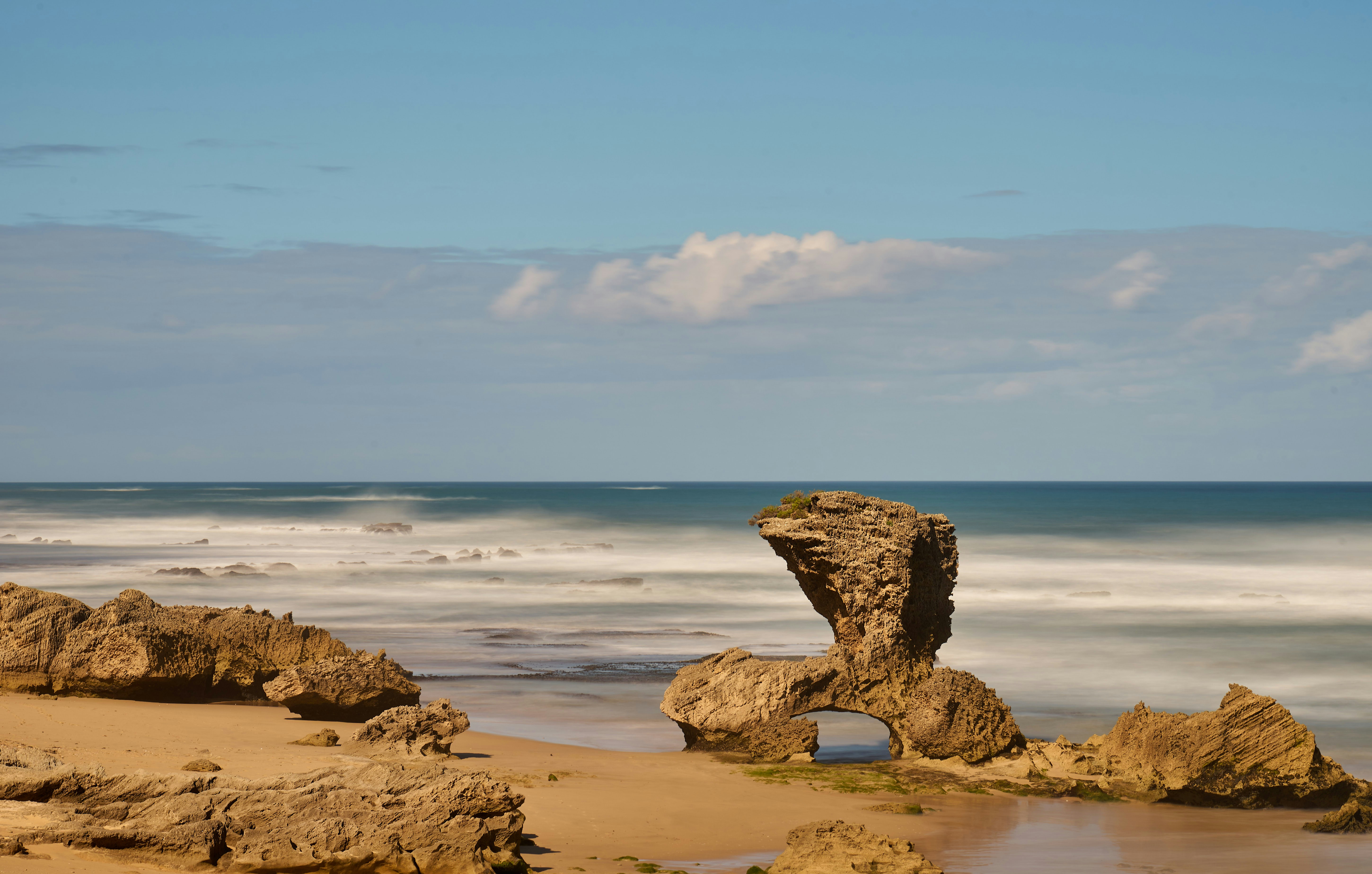 Photo by wolfgang_hasselmann