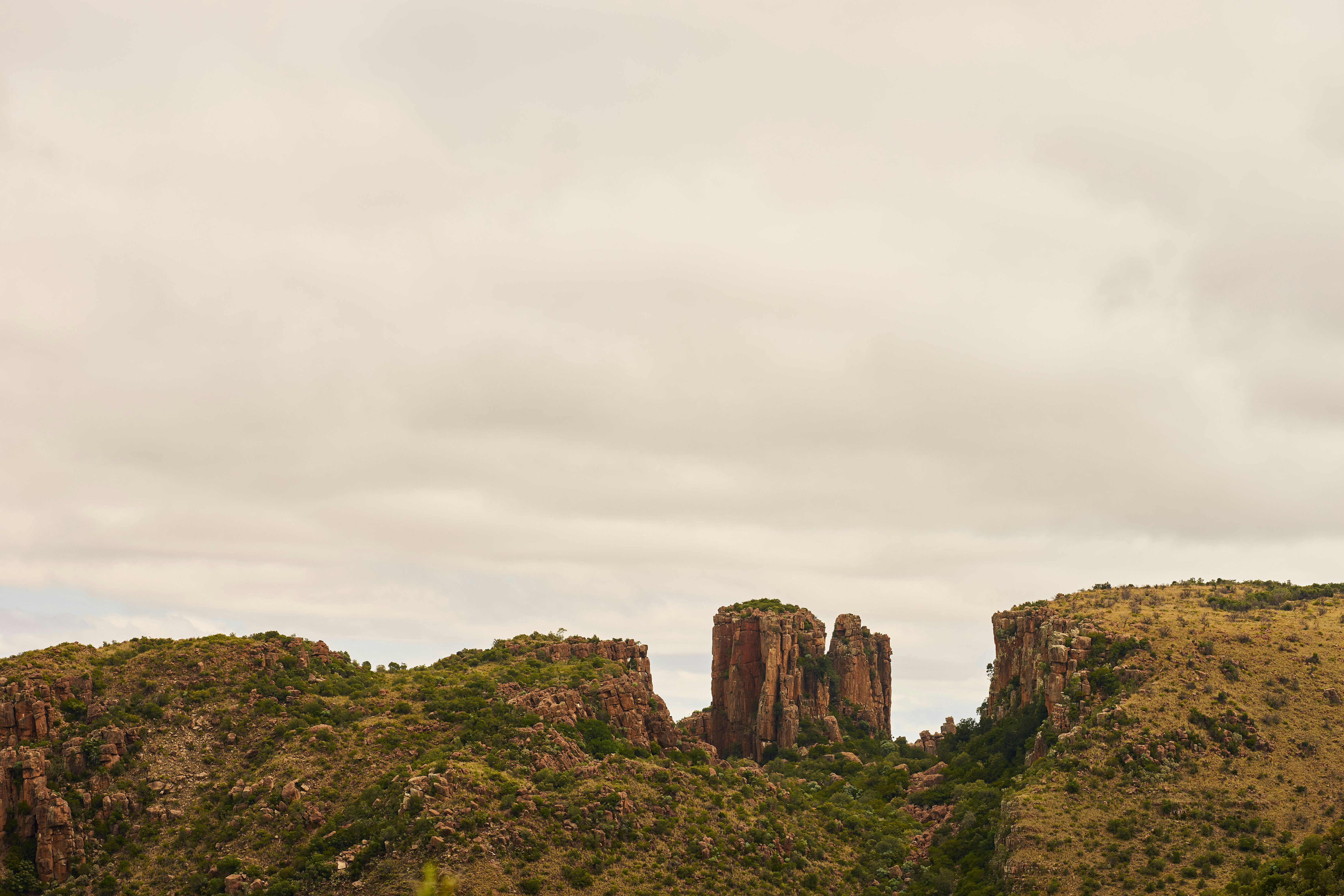 Photo by wolfgang_hasselmann