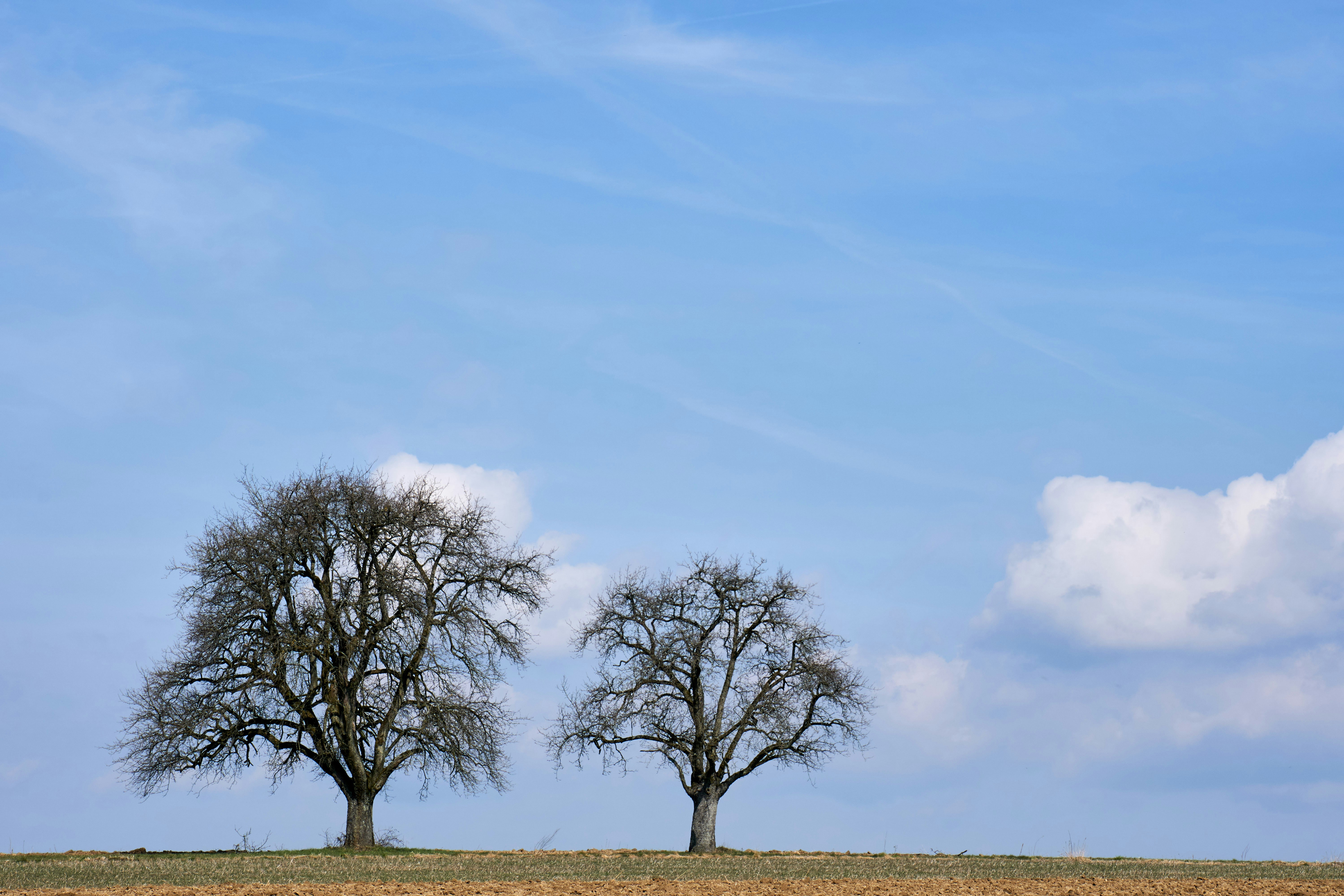 Photo by wolfgang_hasselmann