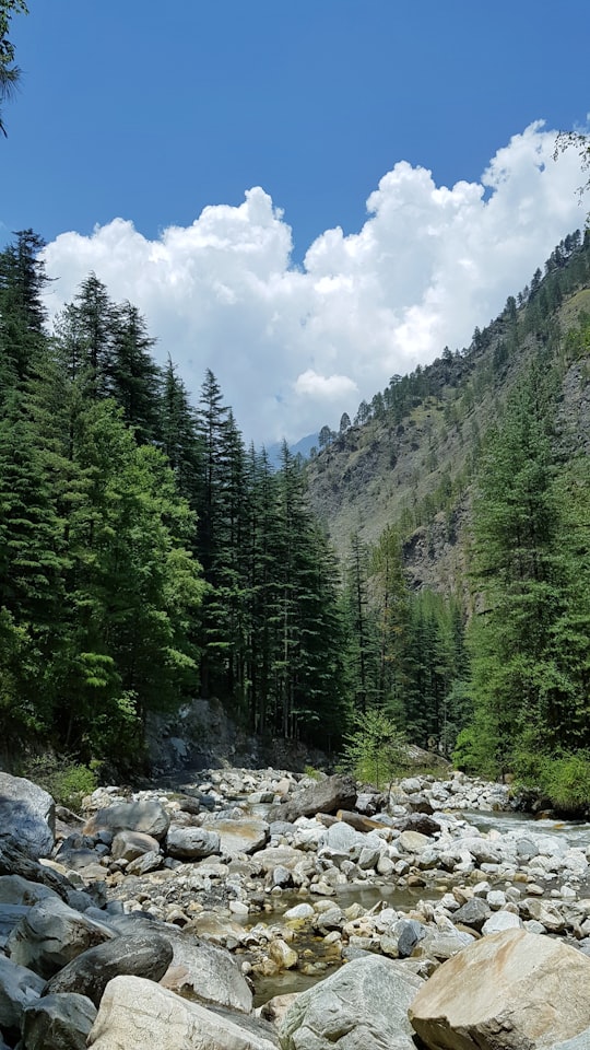 green trees on rocky mountain under blue sky during daytime in Kasol India
