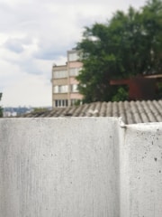 A small insect is perched on a beige, textured concrete wall, with a blurred background showing a building, greenery, and cloudy sky.