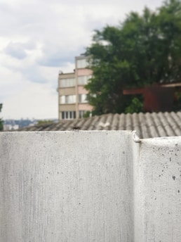A small insect is perched on a beige, textured concrete wall, with a blurred background showing a building, greenery, and cloudy sky.