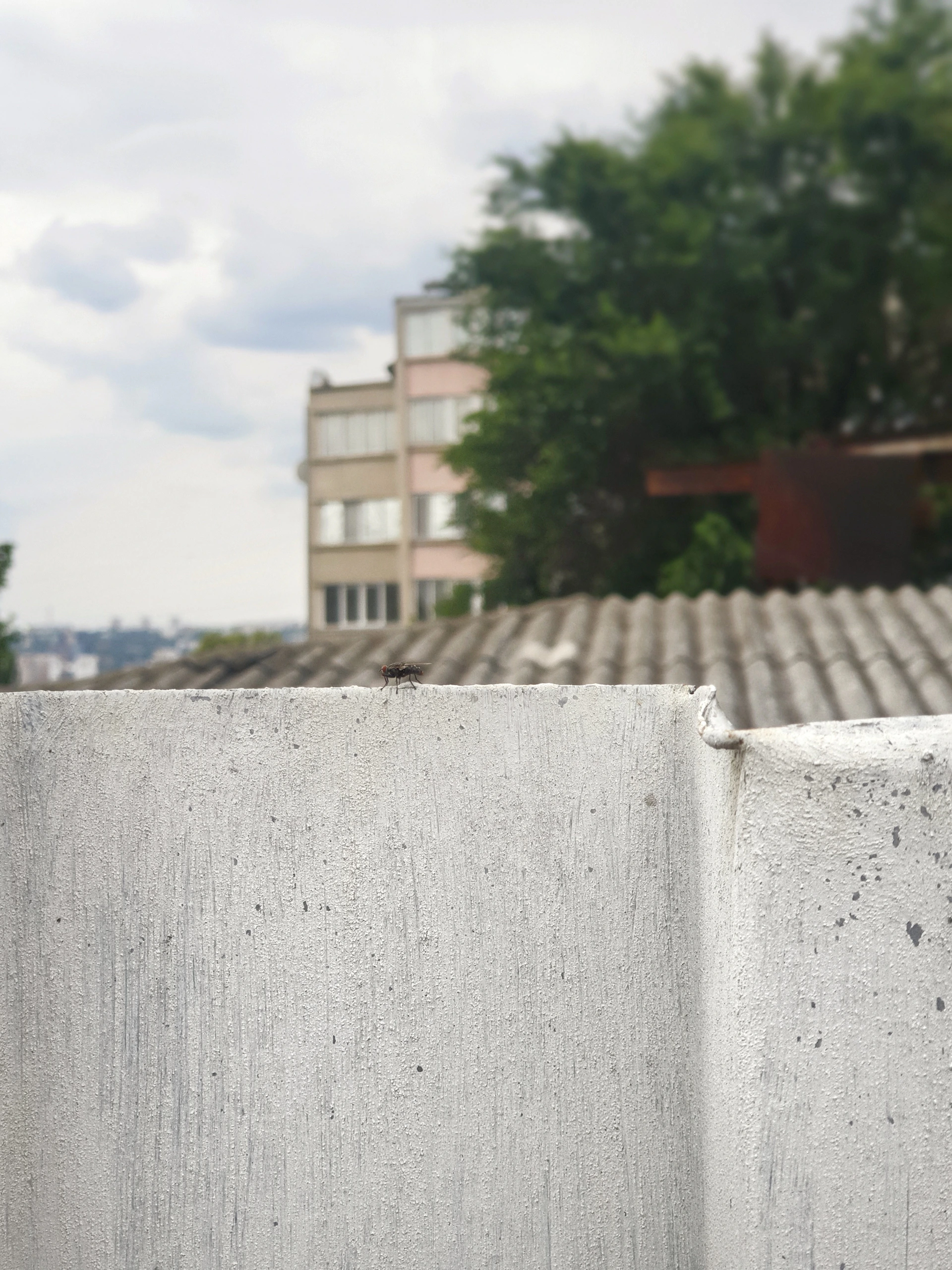 woman wearing yellow long-sleeved dress under white clouds and blue sky during daytime