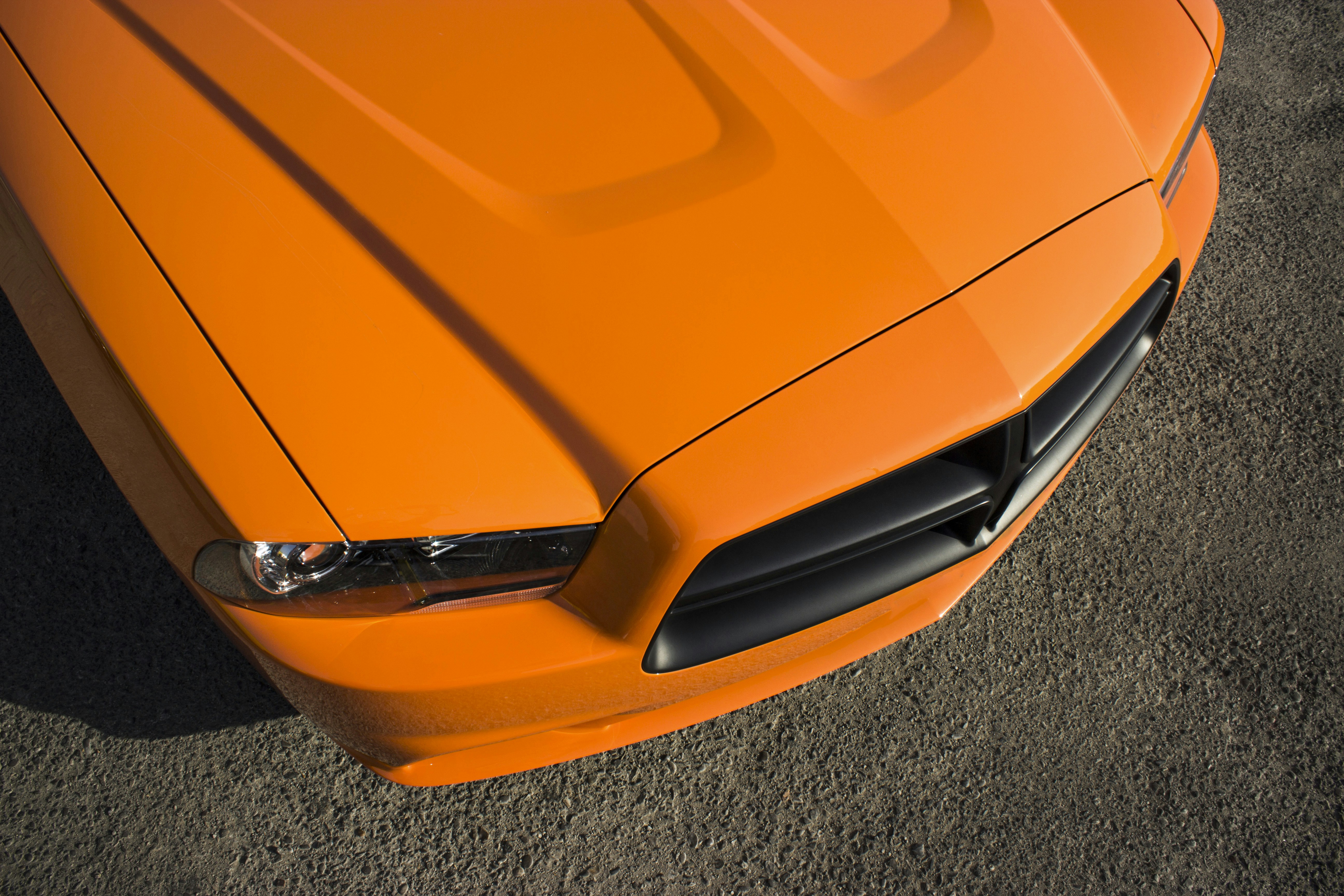 Photo by mostafa_jamei