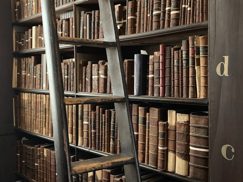 brown wooden book shelves with books