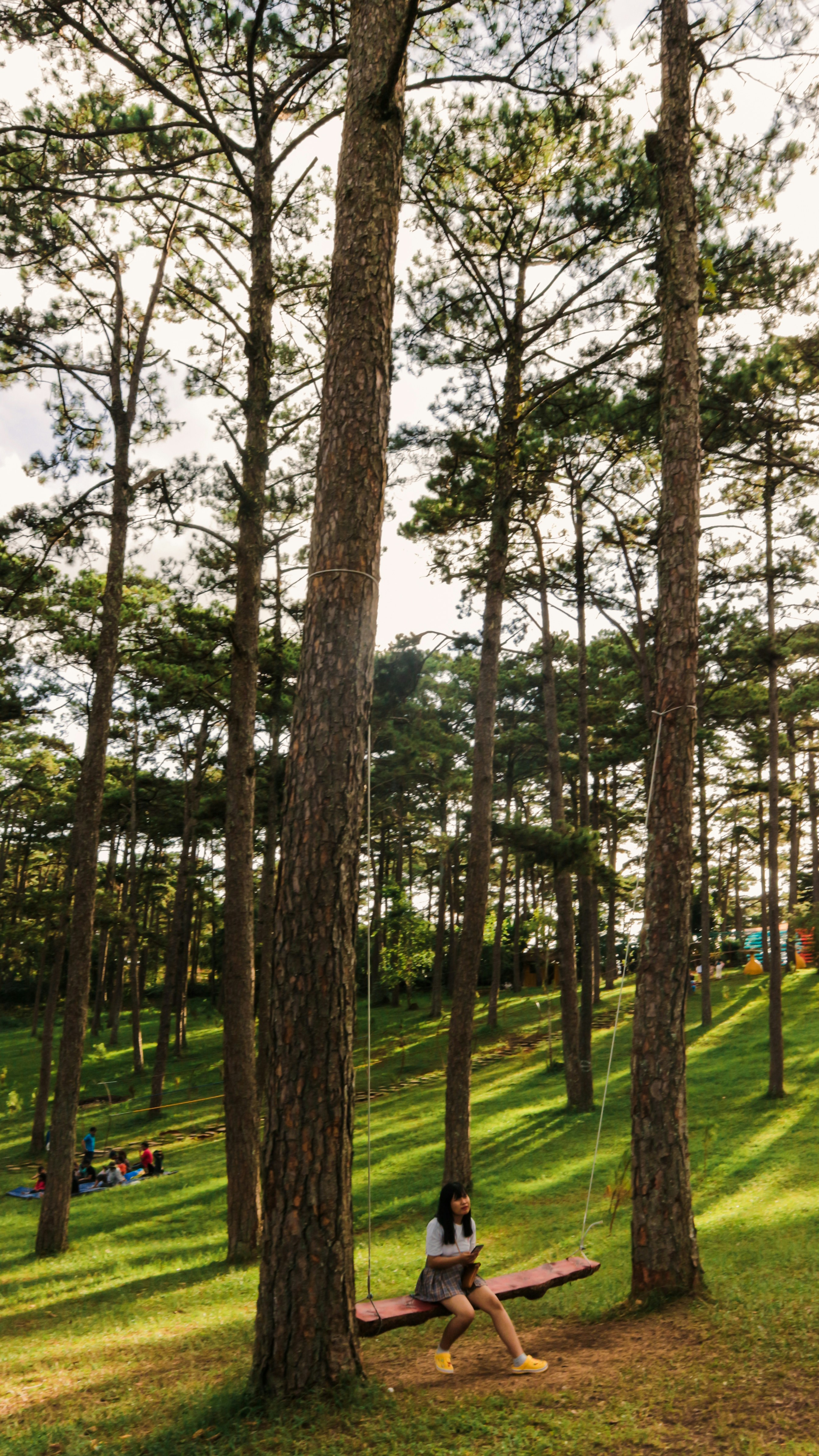 my sister with the pines