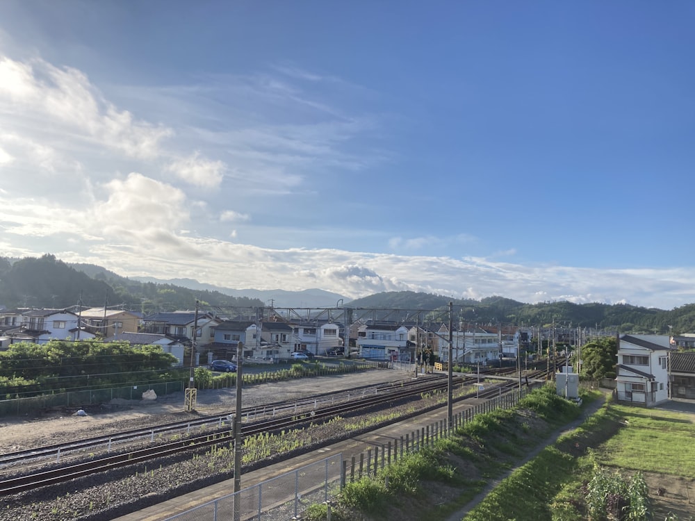 green trees and mountain under blue sky during daytime