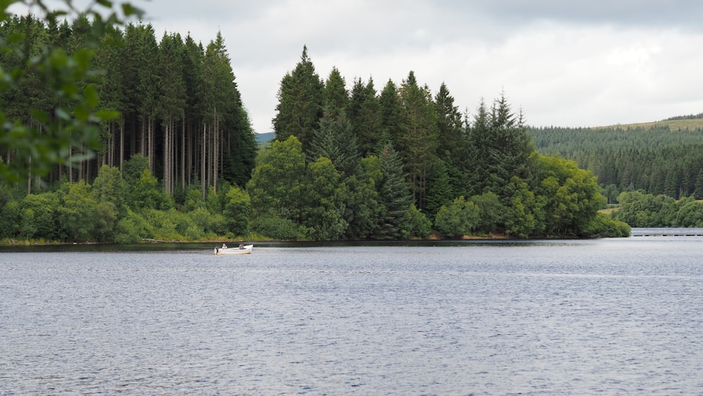 white boat on body of water near green trees during daytime