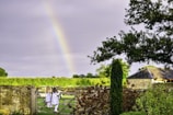 man in white shirt standing near green tree during daytime