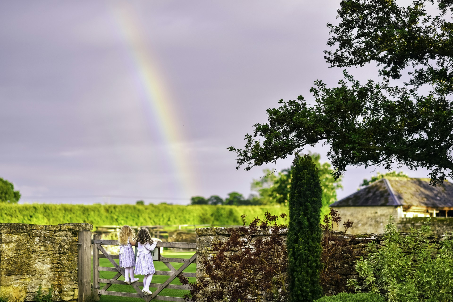 man in white shirt standing near green tree during daytime