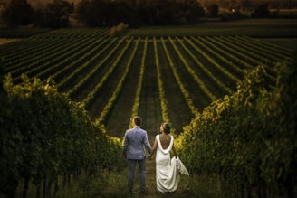 Reserve Vineyard Venue on RENTOS