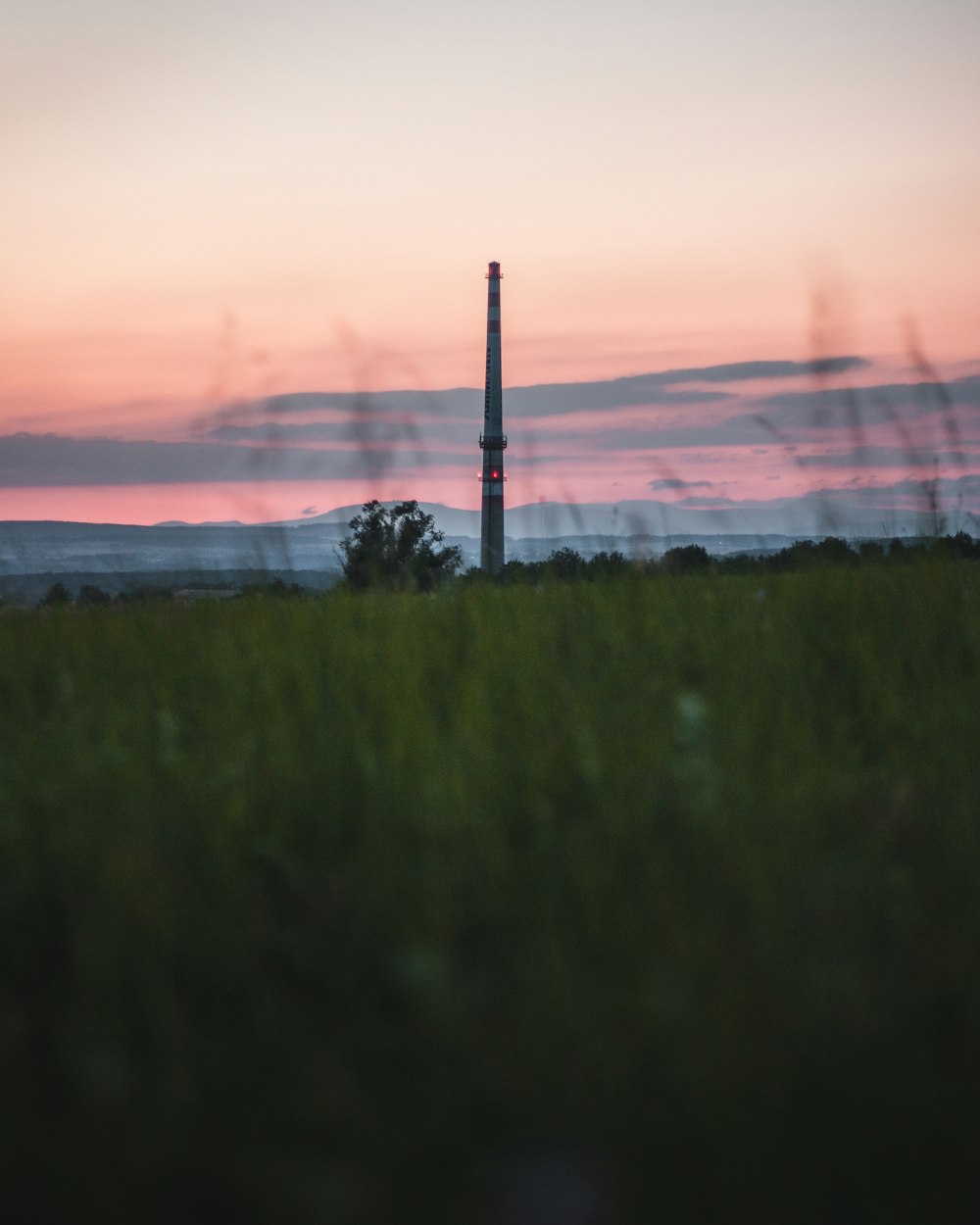 green grass field near body of water during sunset