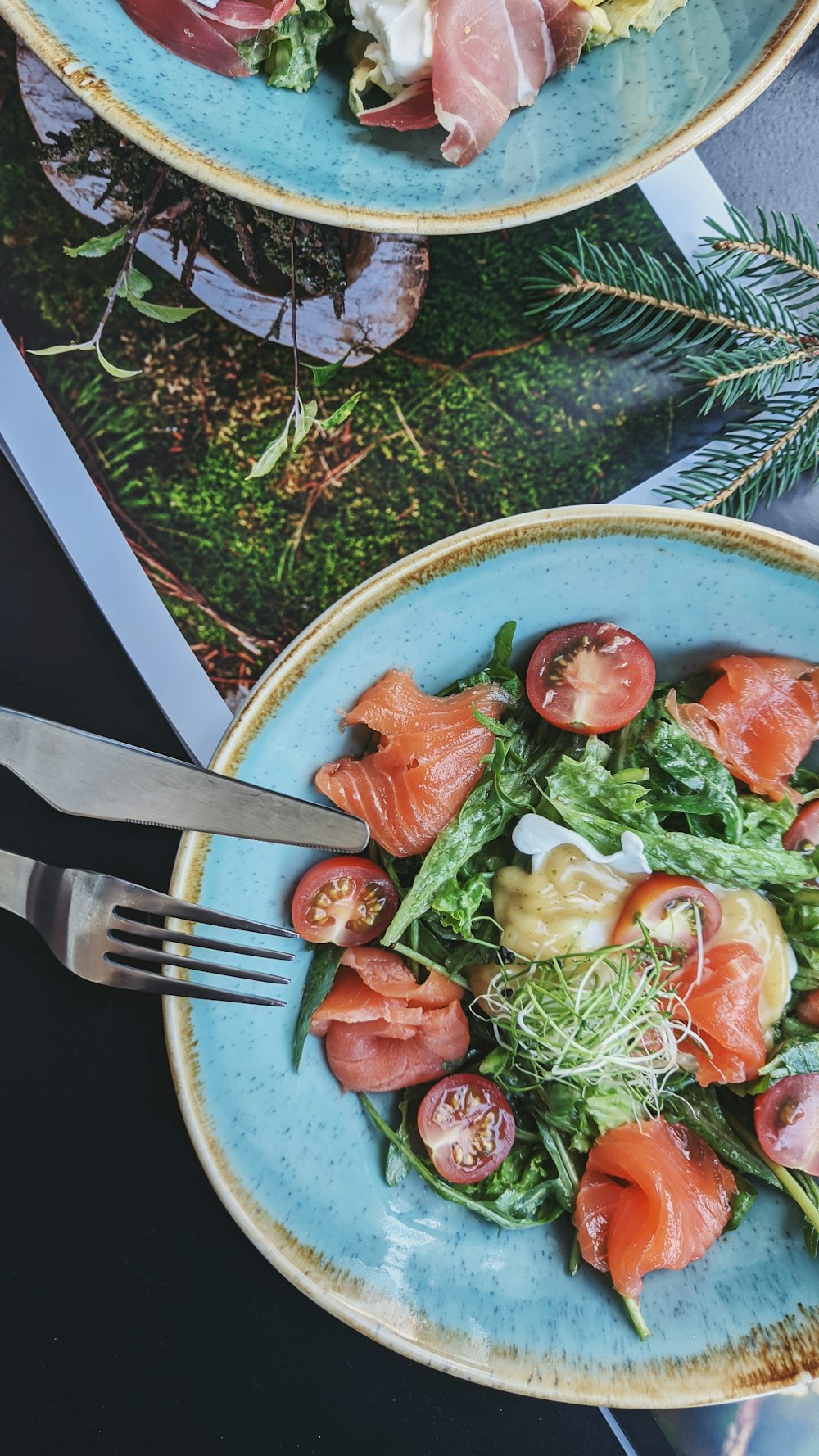 sliced tomato and green vegetable on blue ceramic plate