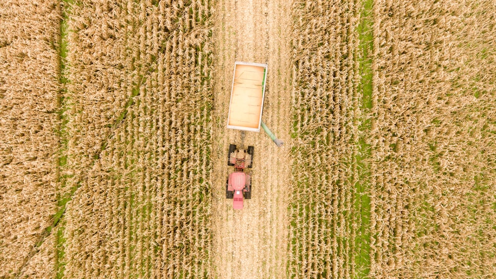 aerial view of green grass field