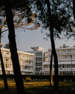 A modern multi-story white building with numerous balconies and large windows is surrounded by tall trees. The sunlight casts shadows and creates a warm glow on the structure. The foreground includes tree trunks and a well-maintained green lawn.