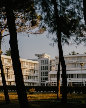 A modern multi-story white building with numerous balconies and large windows is surrounded by tall trees. The sunlight casts shadows and creates a warm glow on the structure. The foreground includes tree trunks and a well-maintained green lawn.