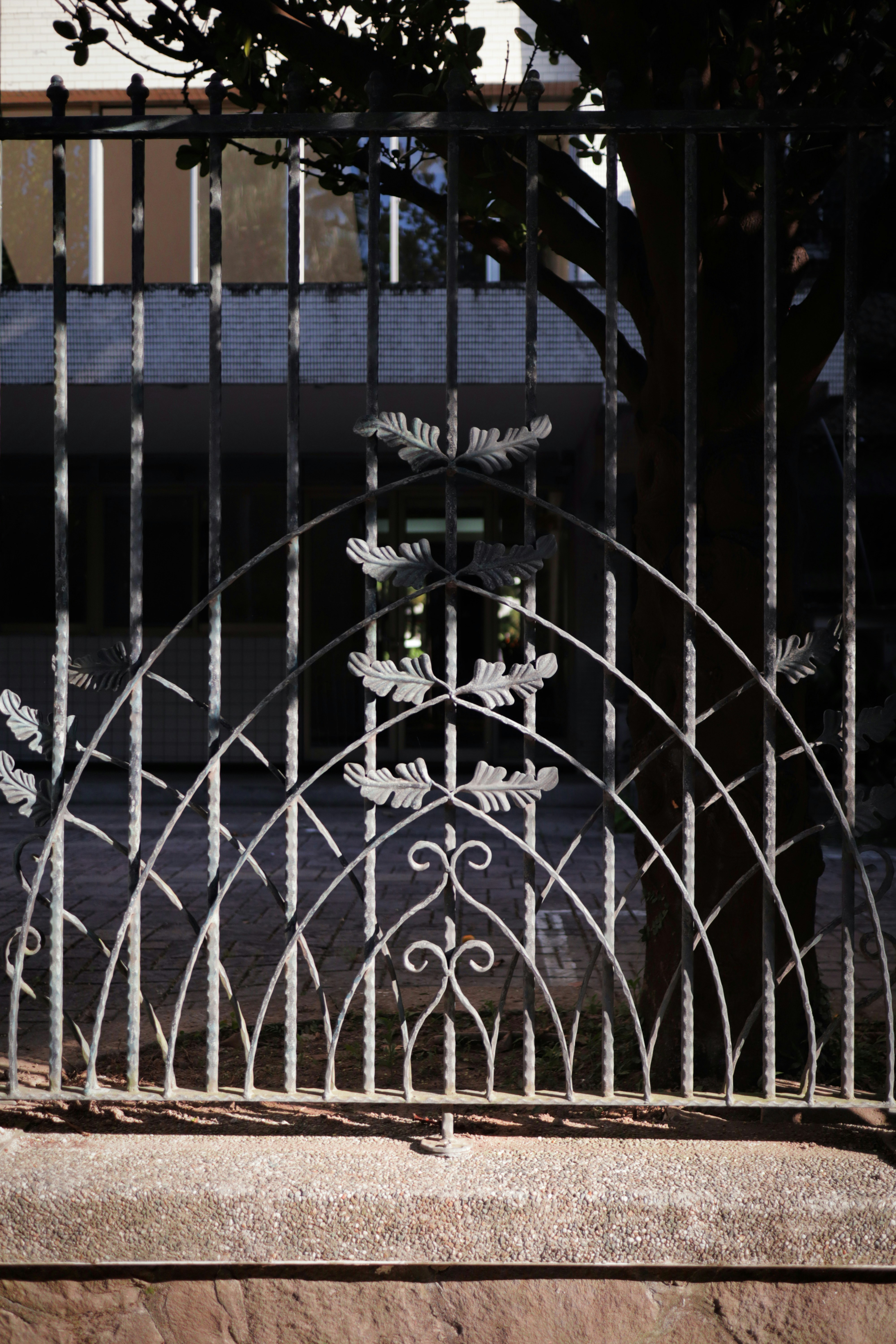 Photo by benjamin_1017