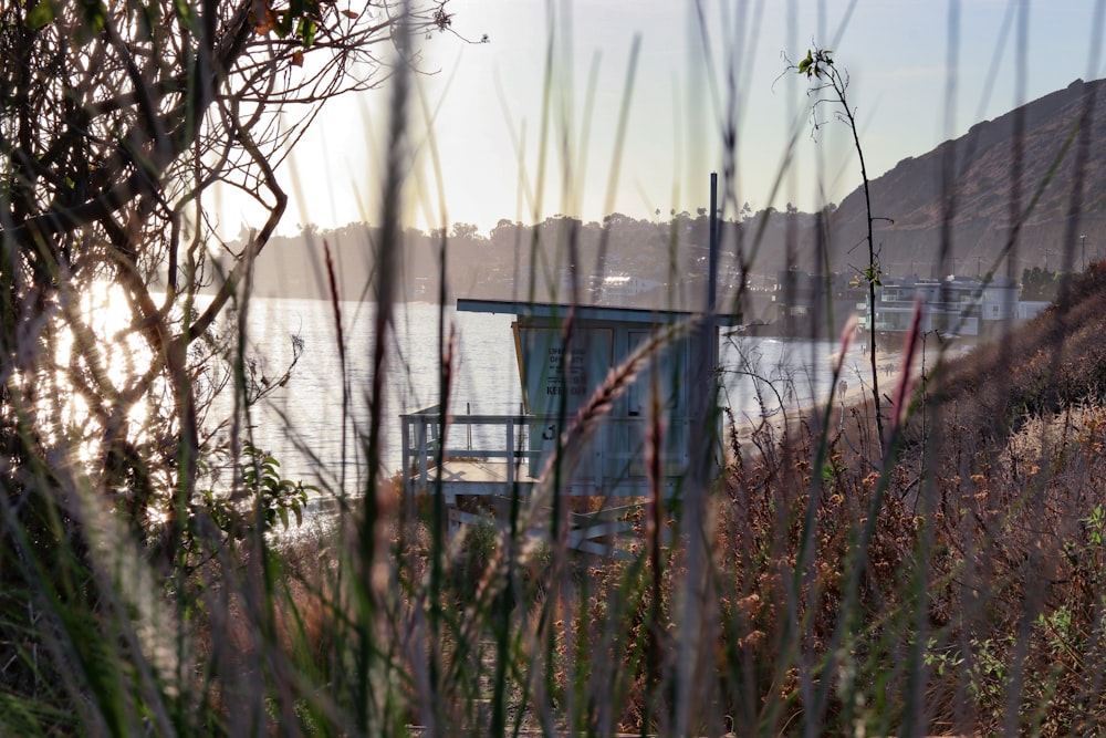 brown wooden dock on body of water during daytime