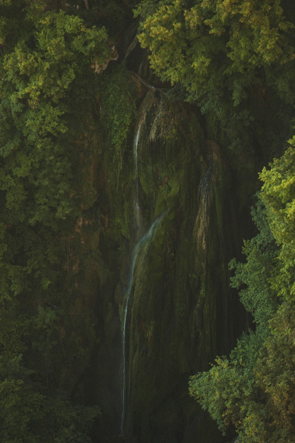 green moss on brown rock