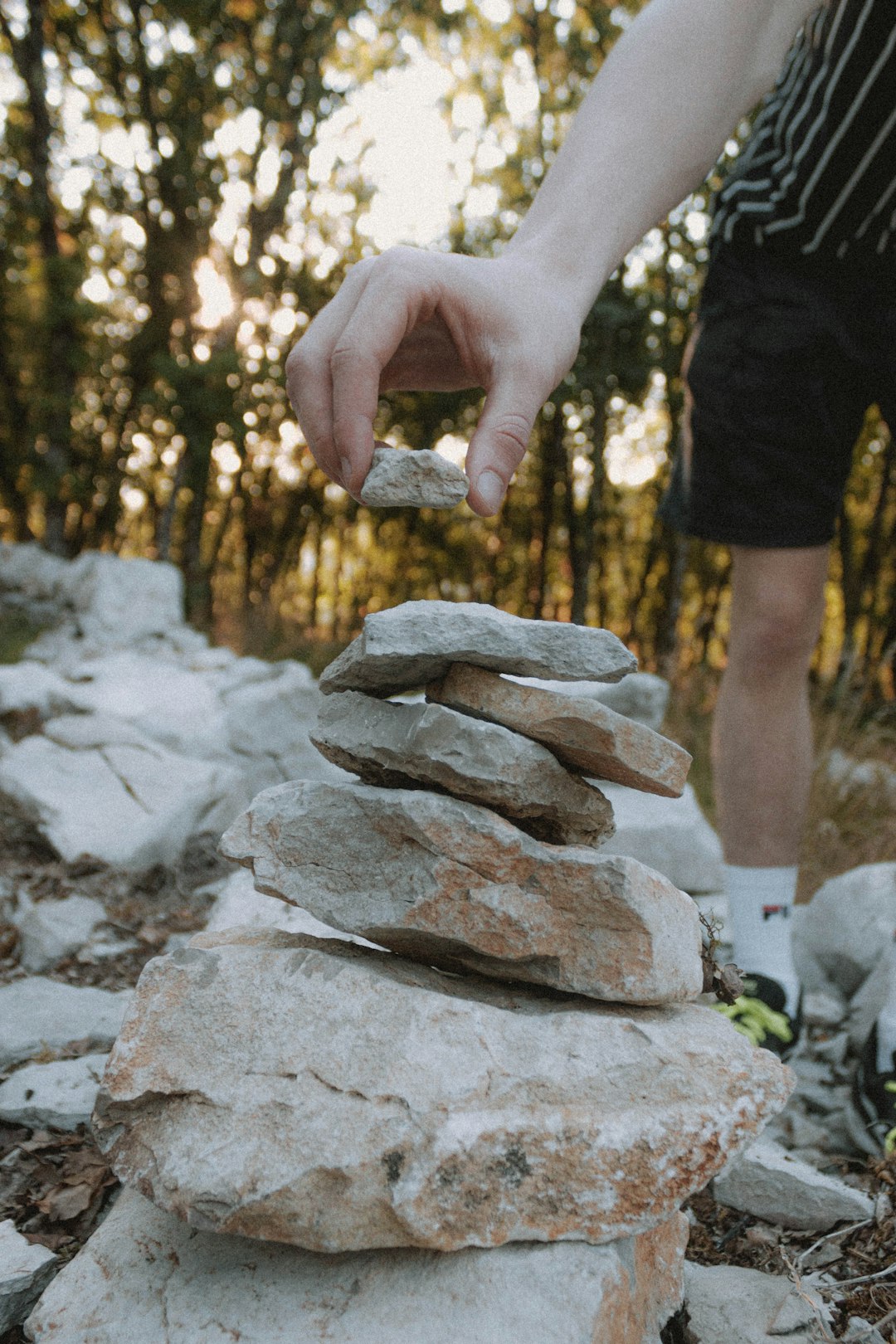 person holding gray and brown stone