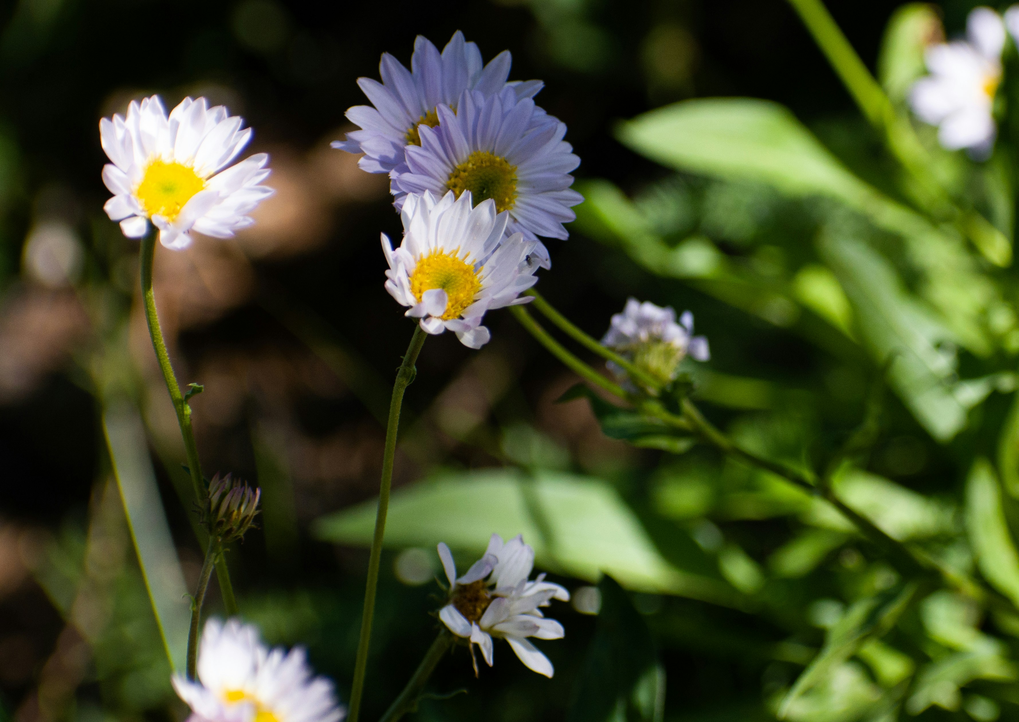 Photo by elisastonephotography