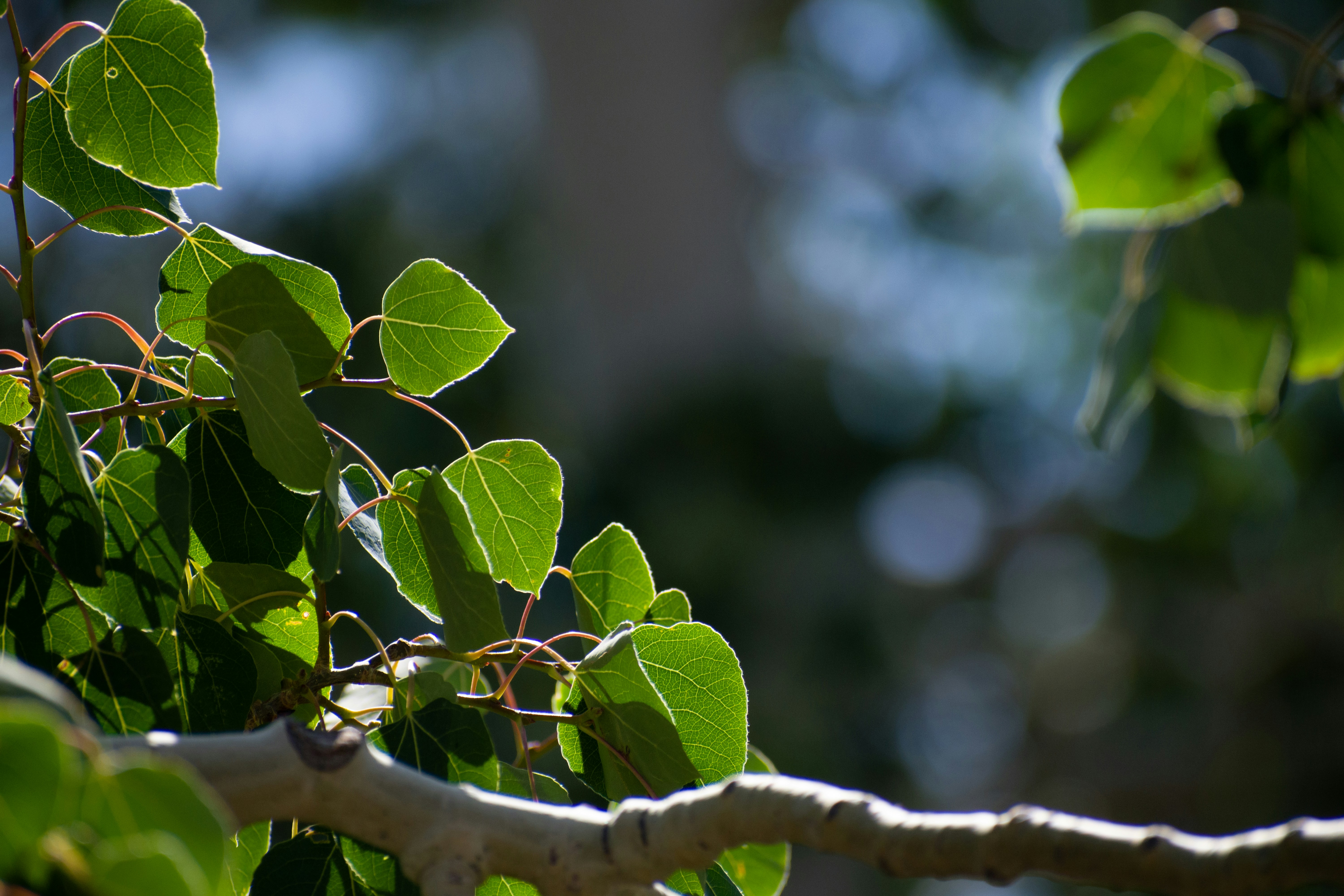 Photo by elisastonephotography