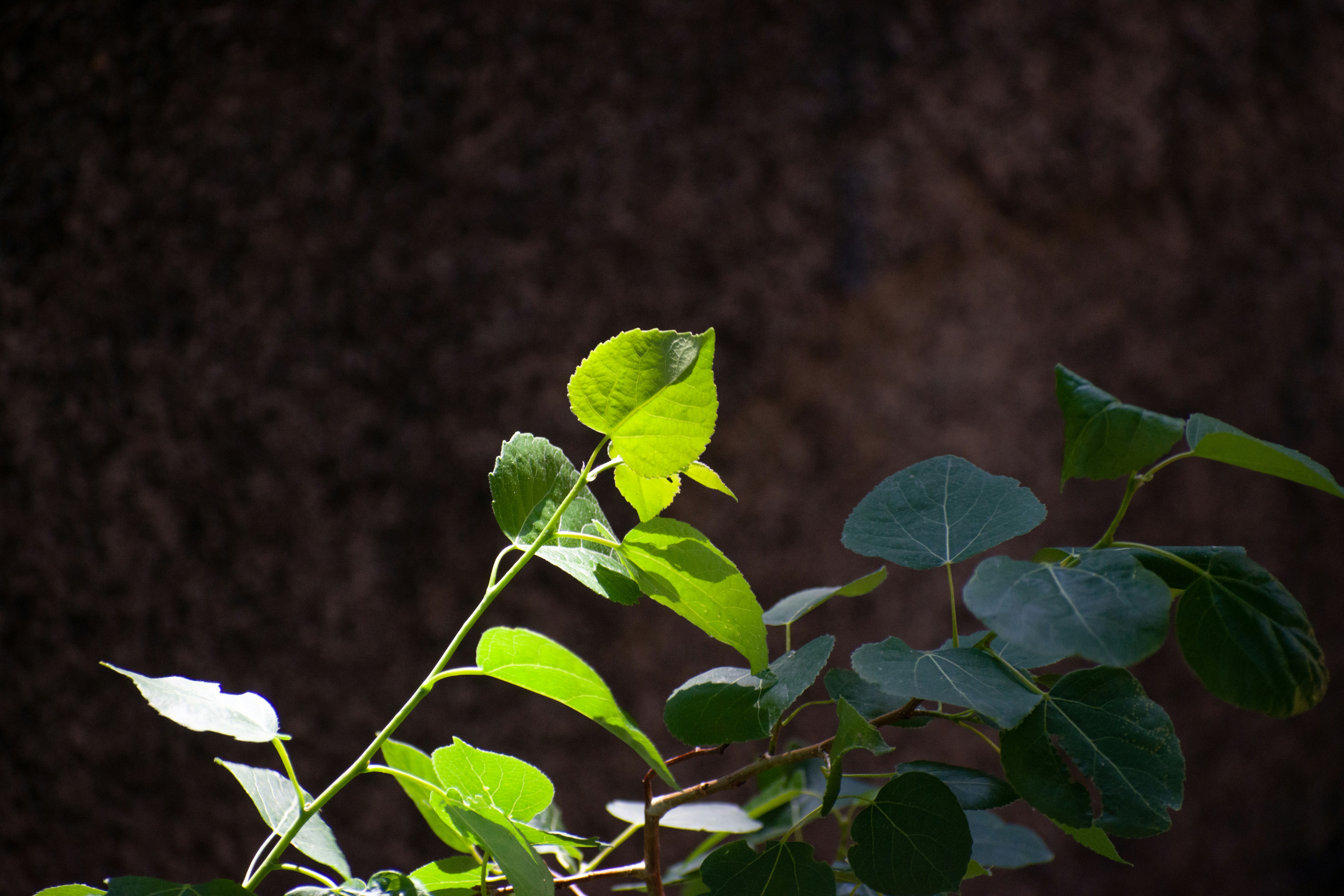 Photo by elisastonephotography