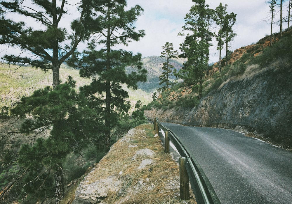 gray concrete road between green trees during daytime