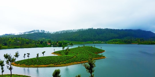 green grass field near lake during daytime in Valparai India