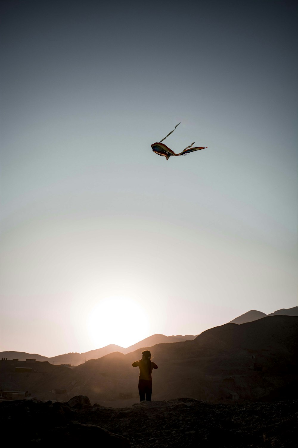 silhouette of bird flying over the mountains during sunset