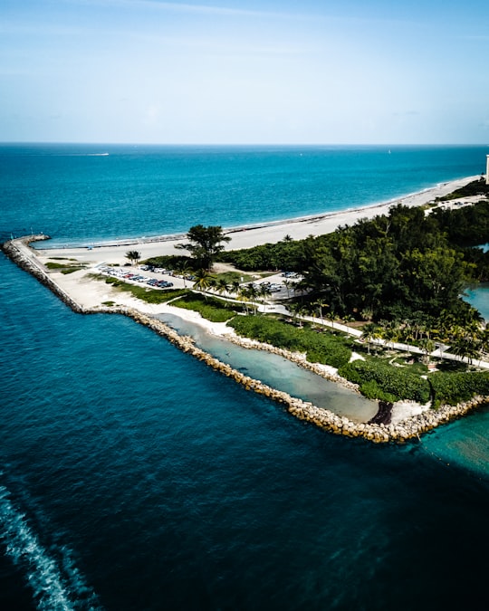 aerial view of green trees near body of water during daytime in Jupiter United States