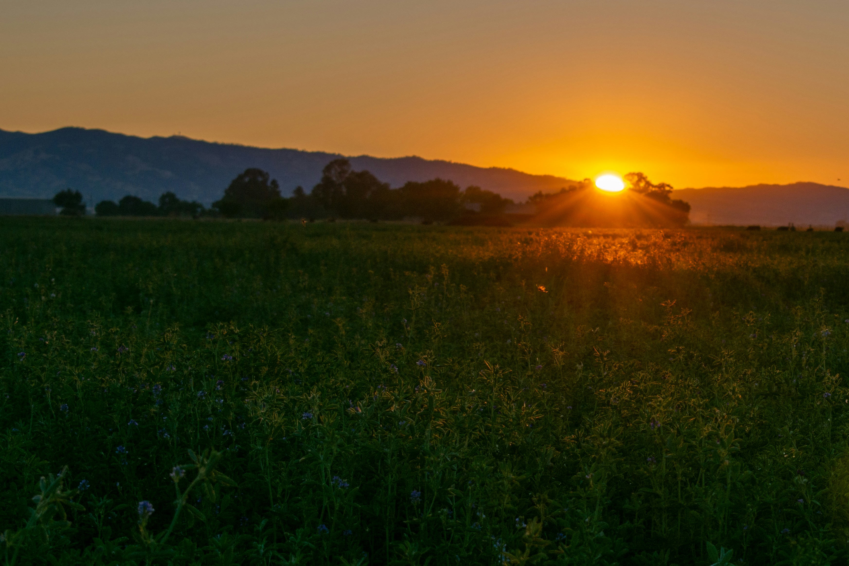 Photo by elisastonephotography