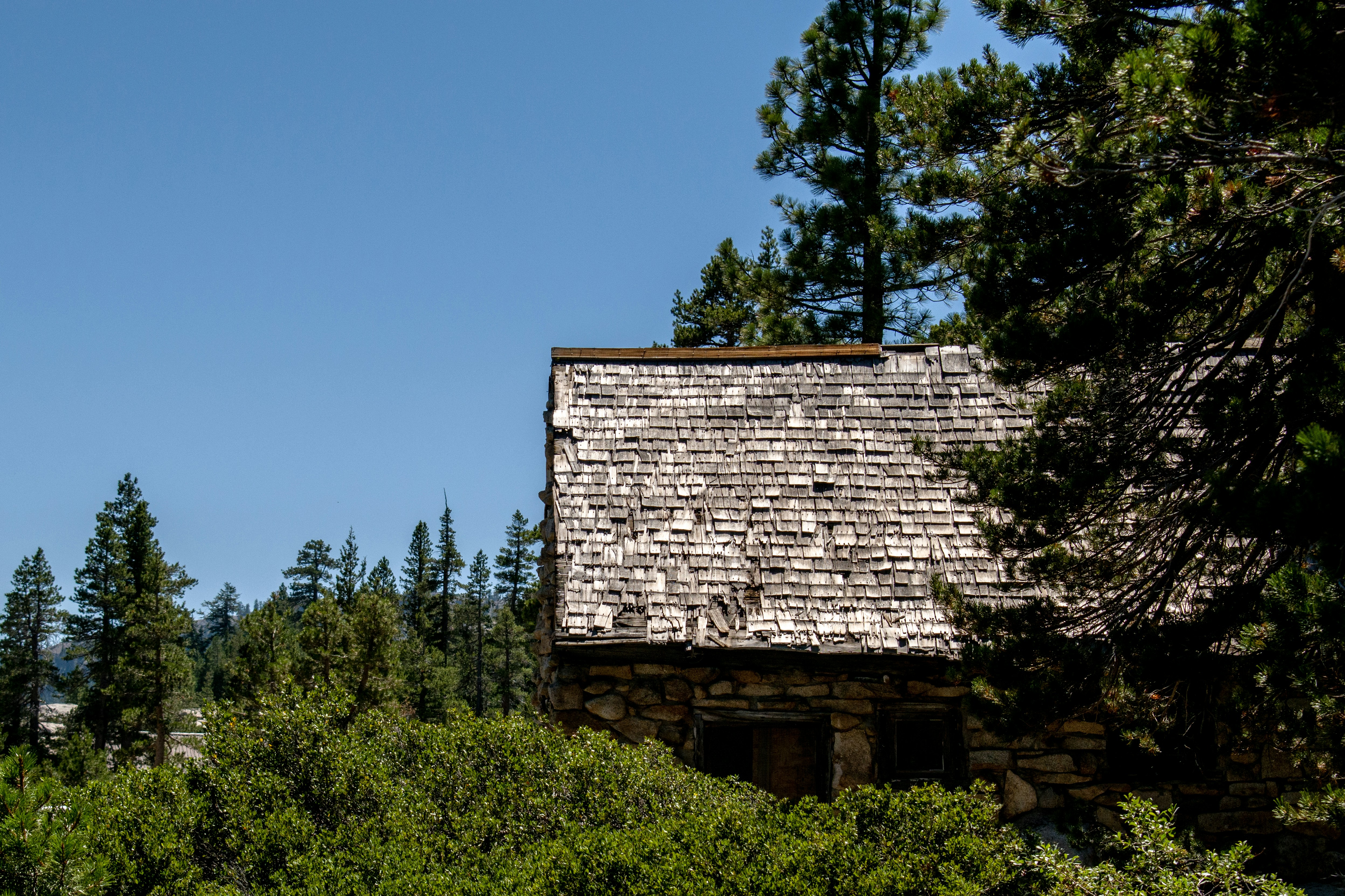 Photo by elisastonephotography