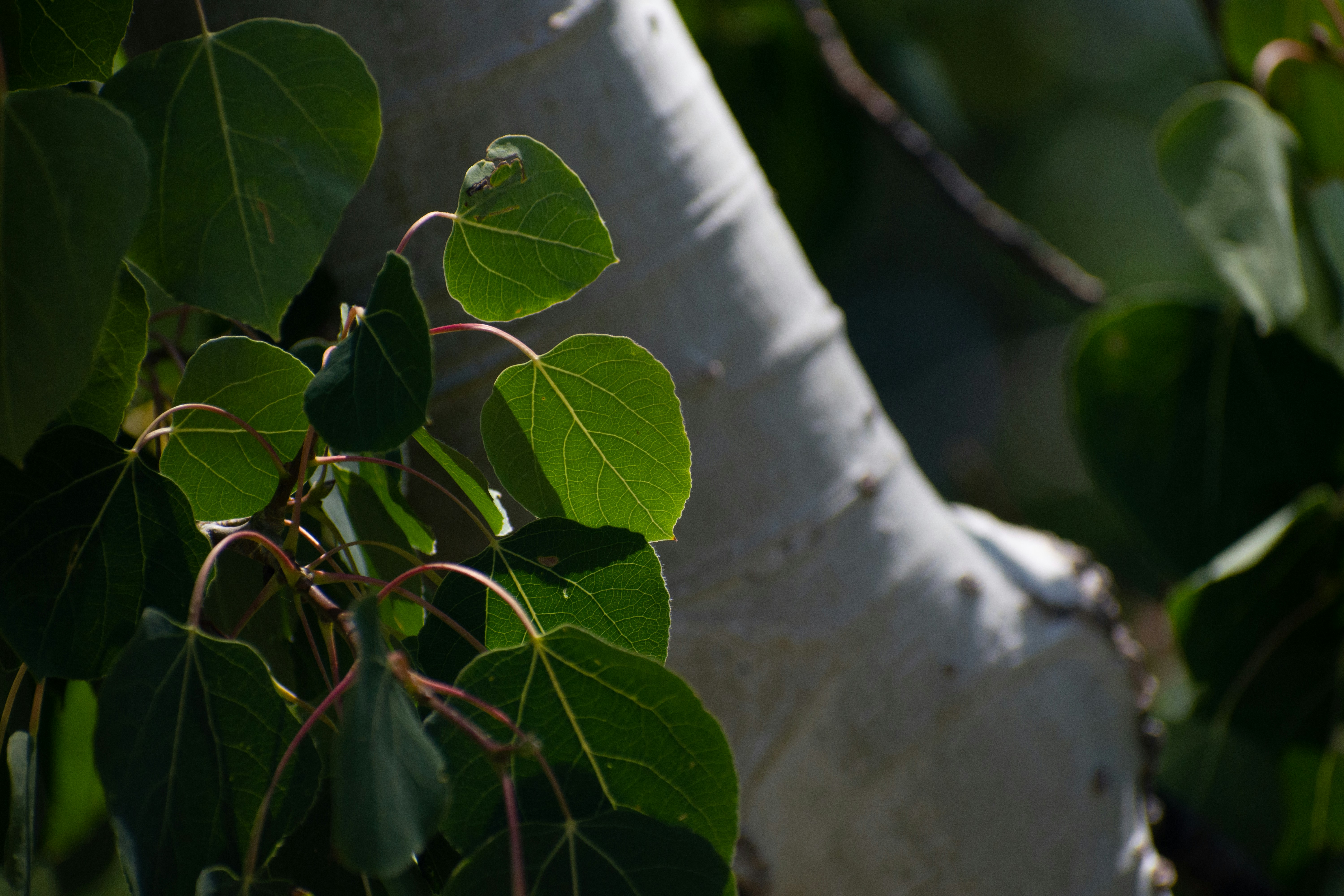 Photo by elisastonephotography