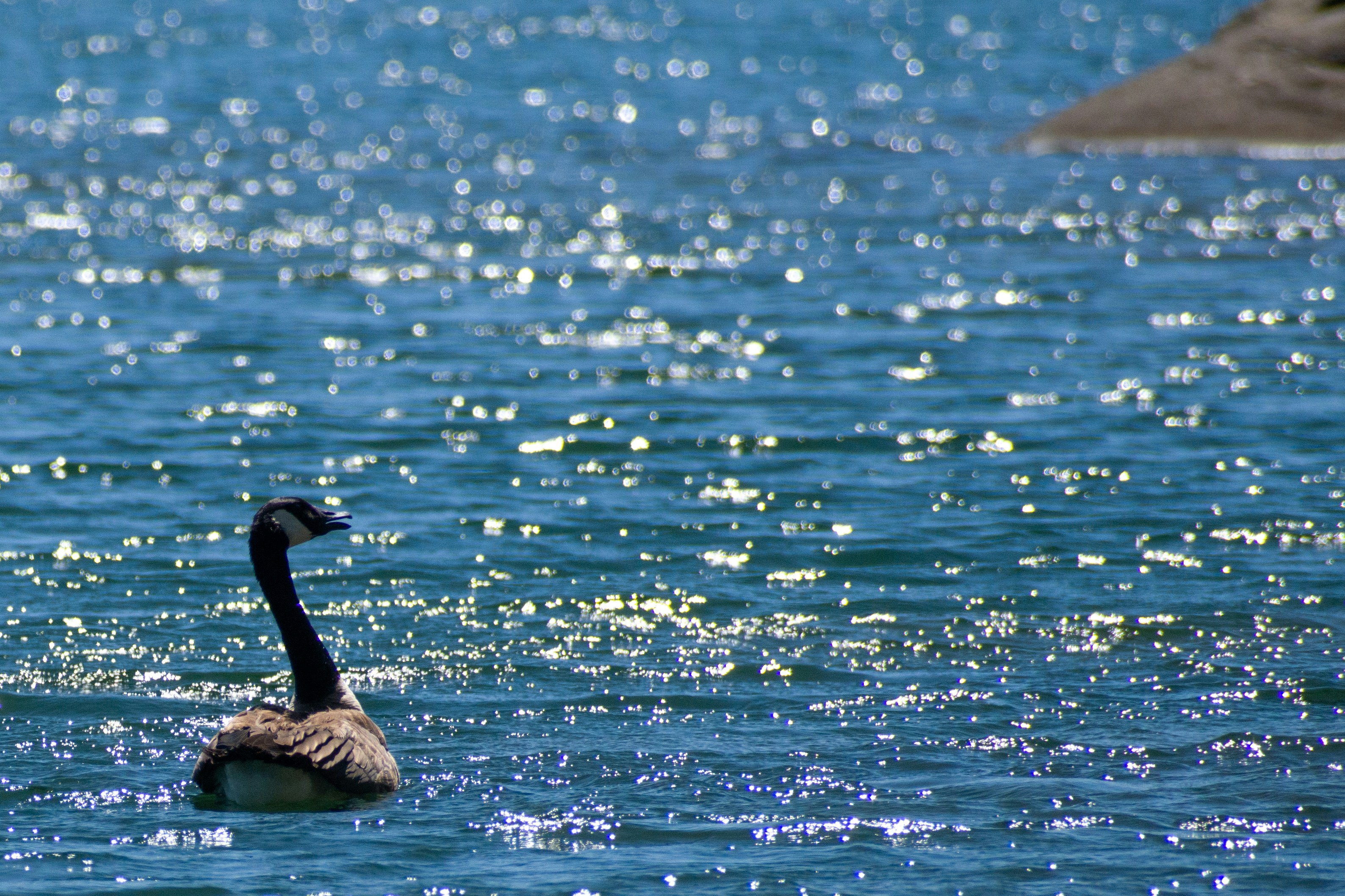 Photo by elisastonephotography