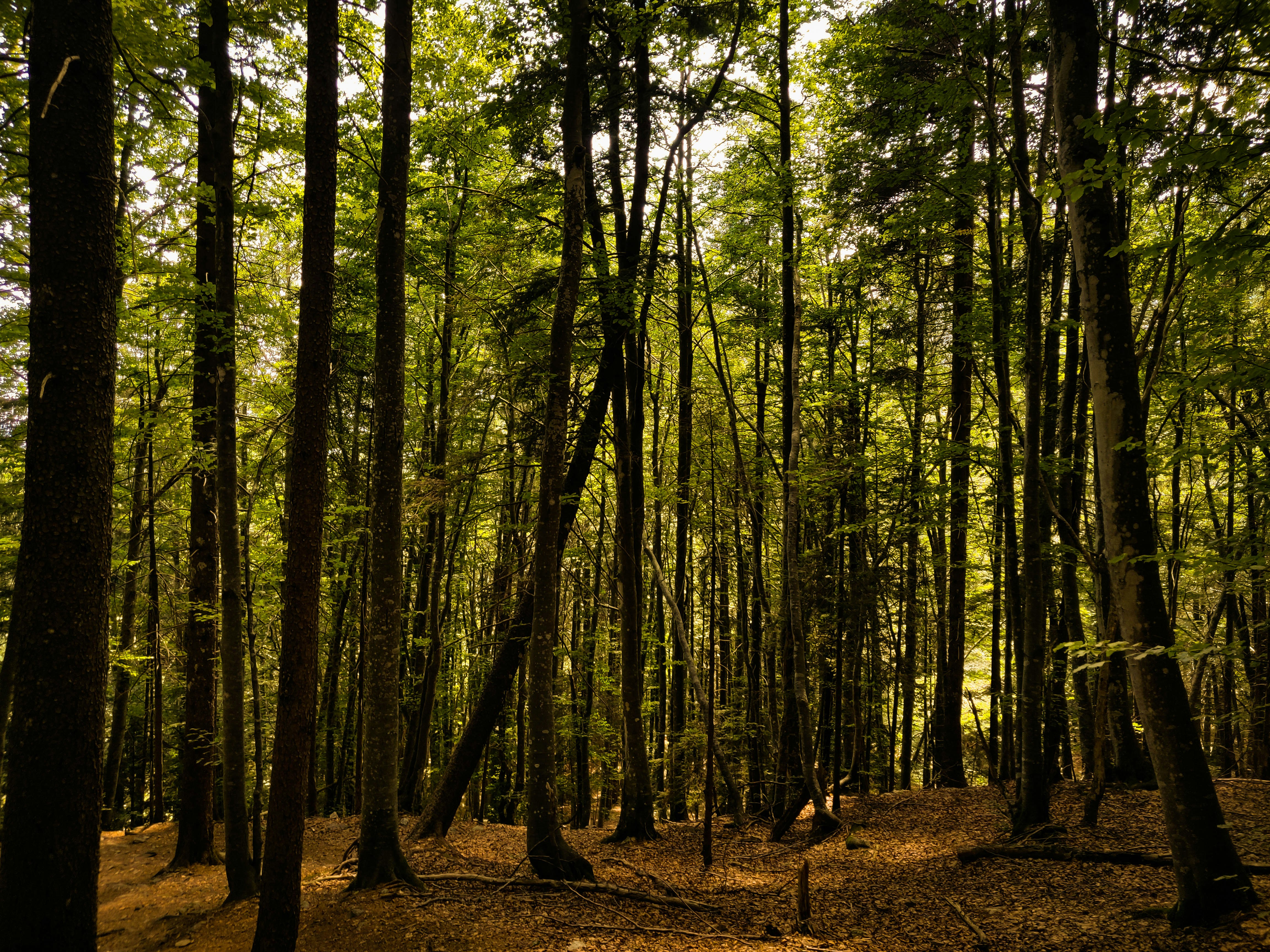 Photo by albertobigoni