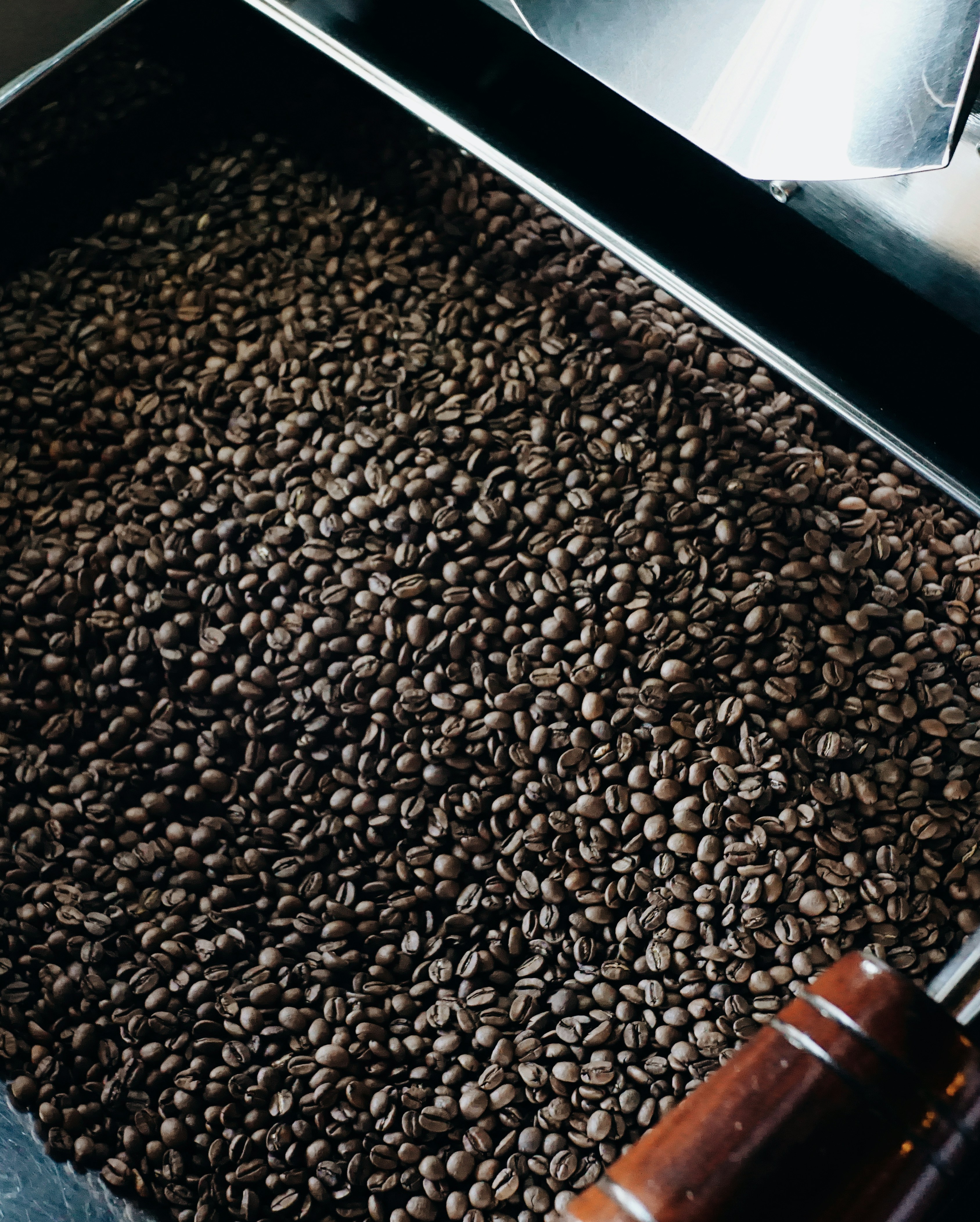 Photo by jonathansancheziam