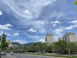 A newly constructed road with clear markings and surrounding greenery.