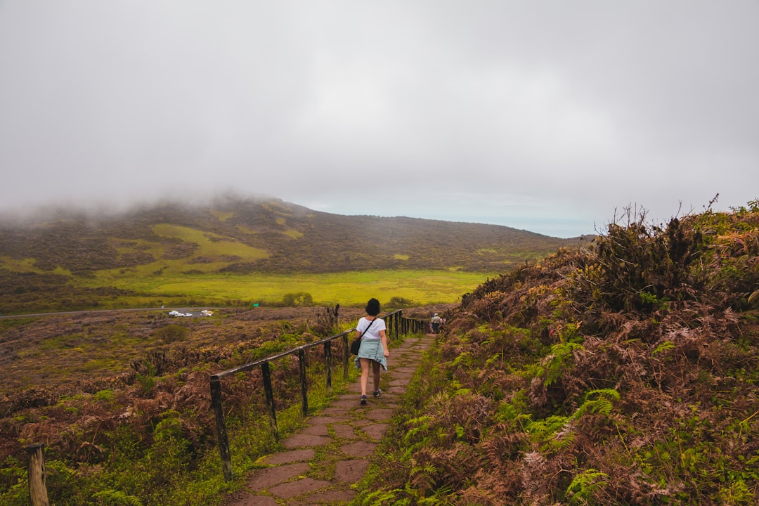 photo of Galapagos Hill near Bartolomé Island