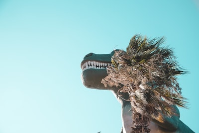 green and brown tree under blue sky during daytime coachella teams background