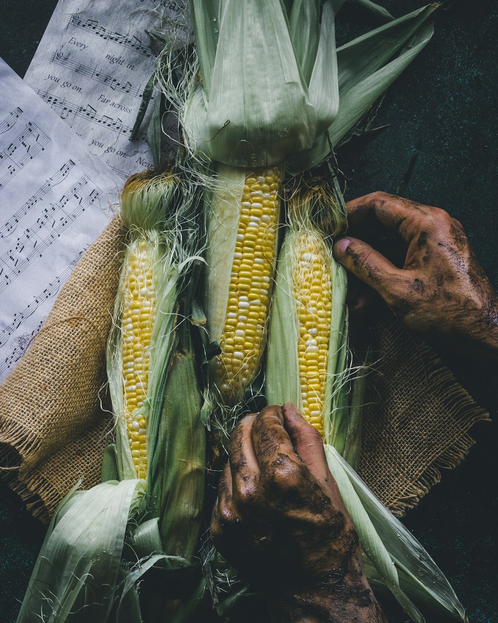 corn on newspaper beside persons hand