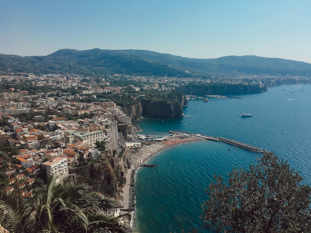 aerial view of city buildings near body of water during daytime