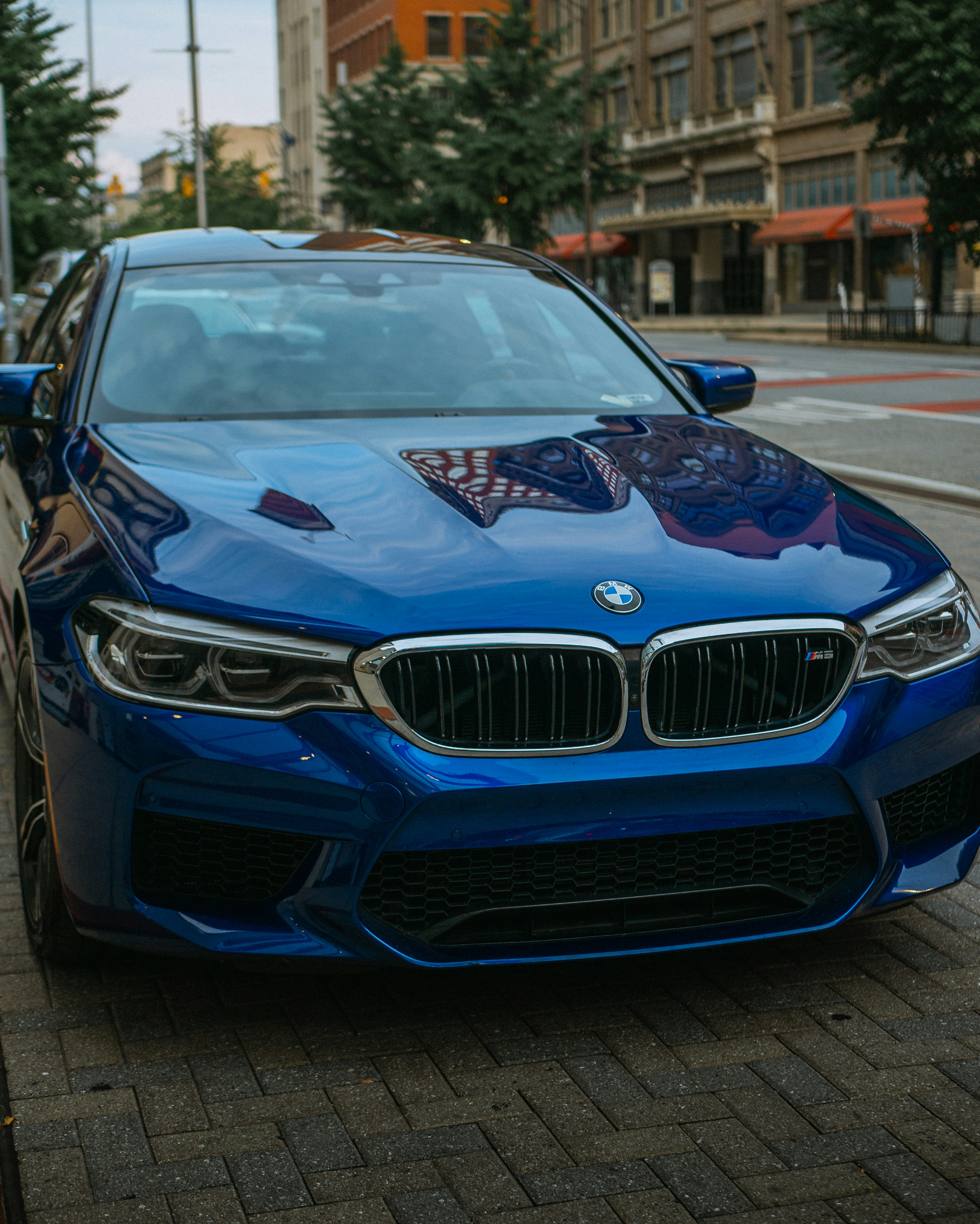 Elegant BMW 5 Series