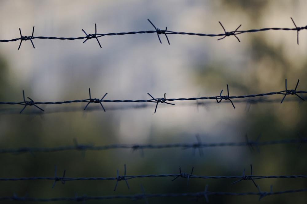 black metal wire fence during daytime