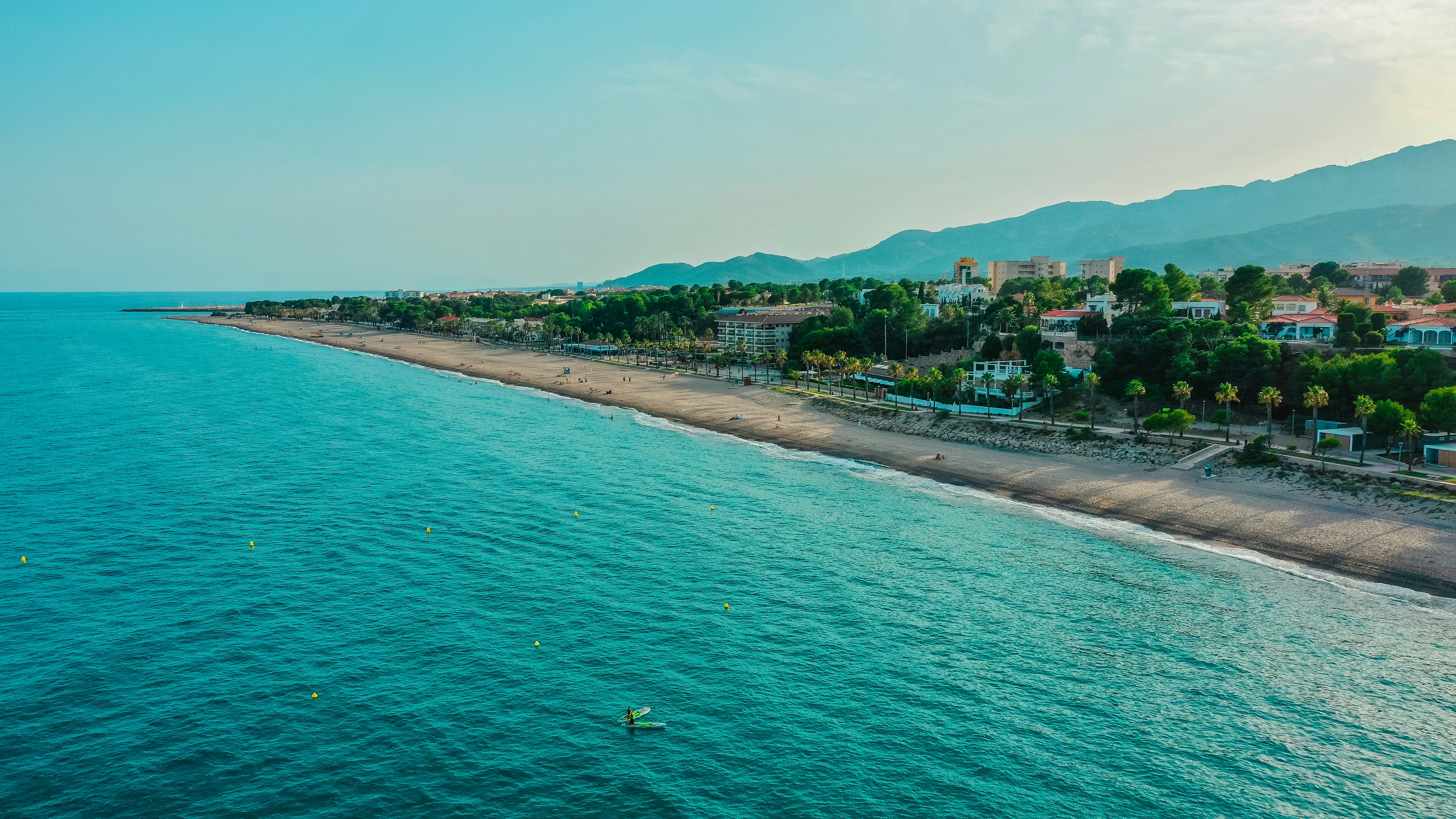 green trees on seashore during daytime