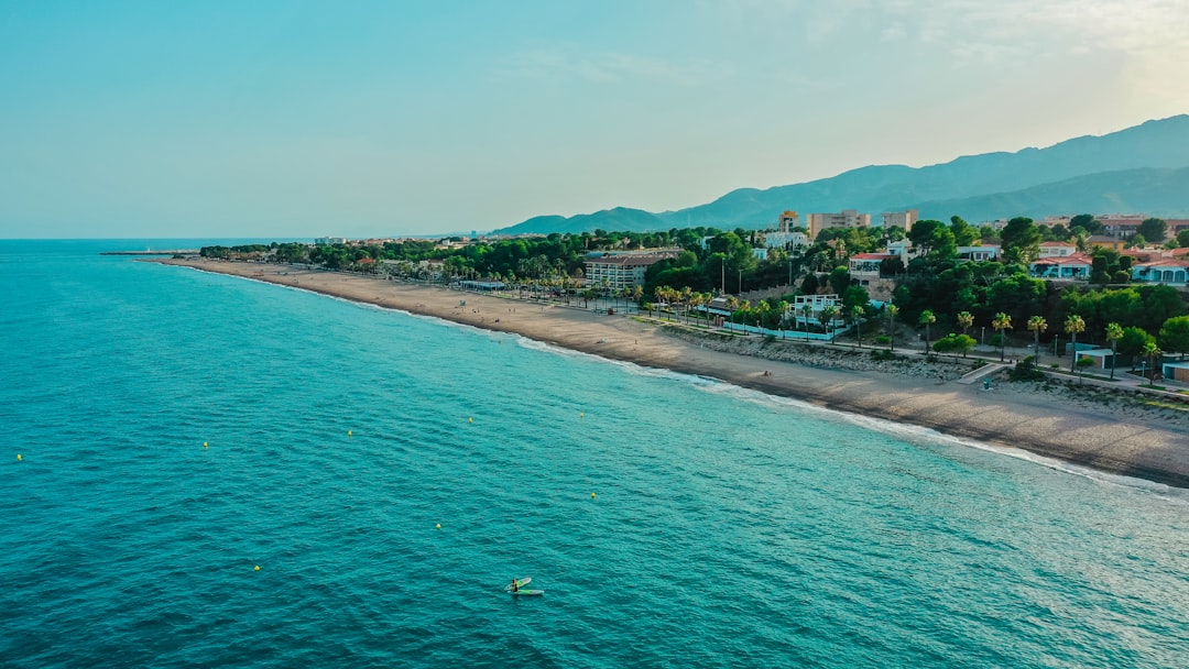 green trees on seashore during daytime