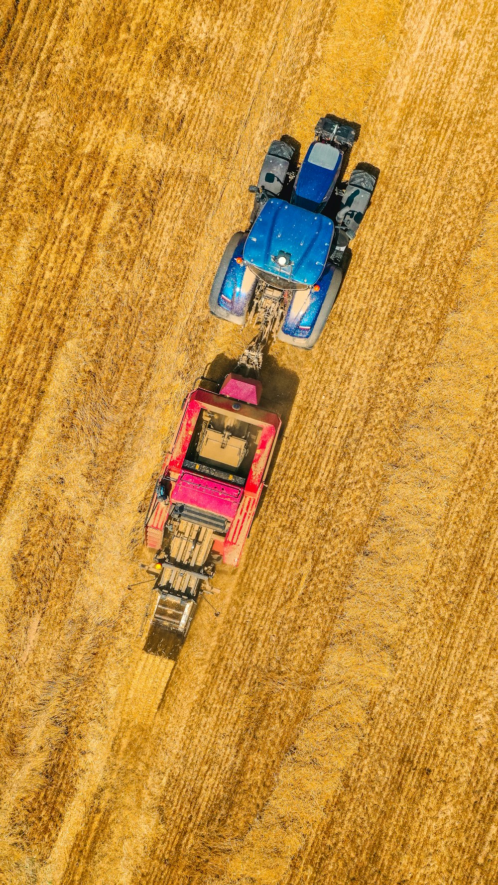 Voiture miniature bleue et rouge